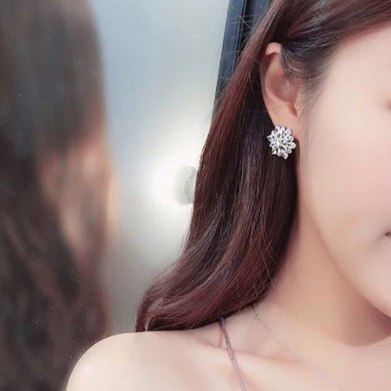 S925 Ice Flower 5A Zircon Stud Earrings, Sterling Silver Jewelry for Women
