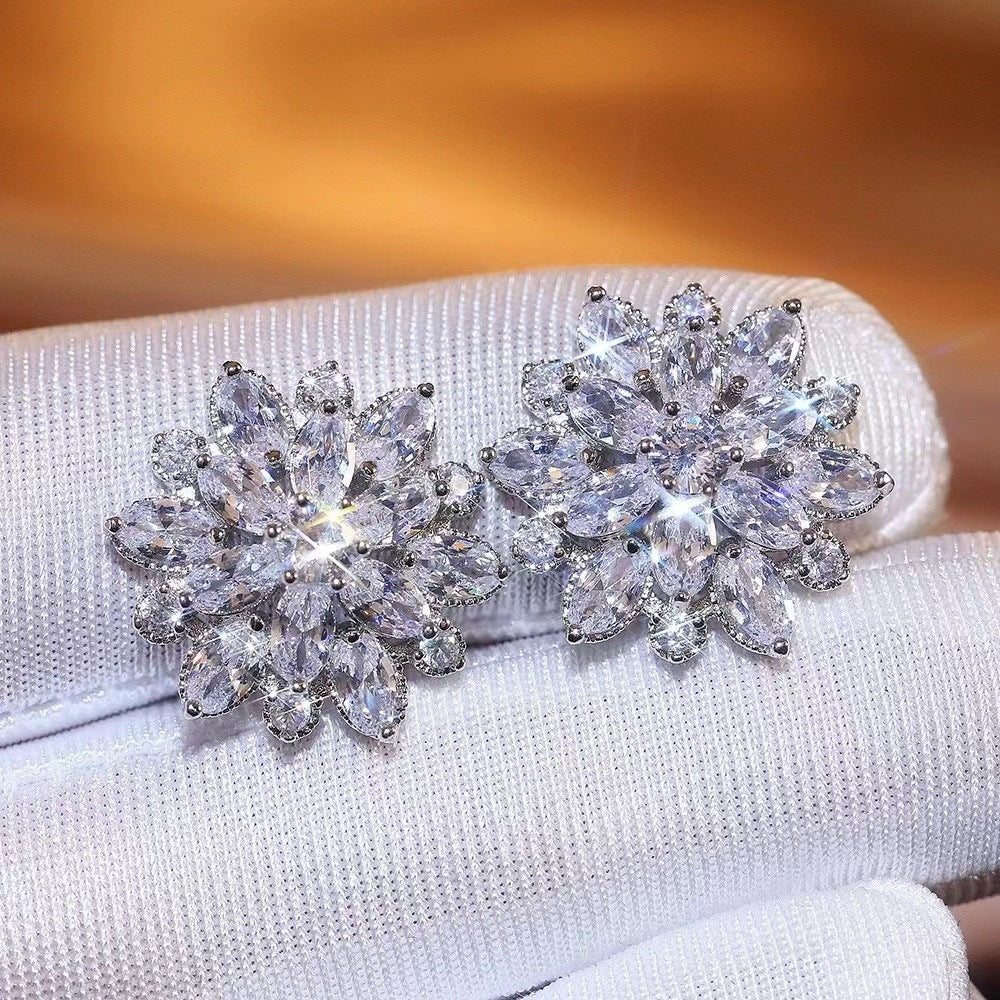 S925 Ice Flower 5A Zircon Stud Earrings, Sterling Silver Jewelry for Women