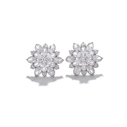 S925 Ice Flower 5A Zircon Stud Earrings, Sterling Silver Jewelry for Women