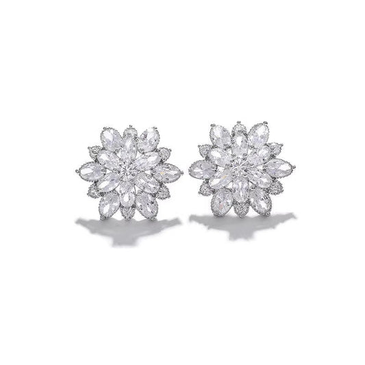S925 Ice Flower 5A Zircon Stud Earrings, Sterling Silver Jewelry for Women